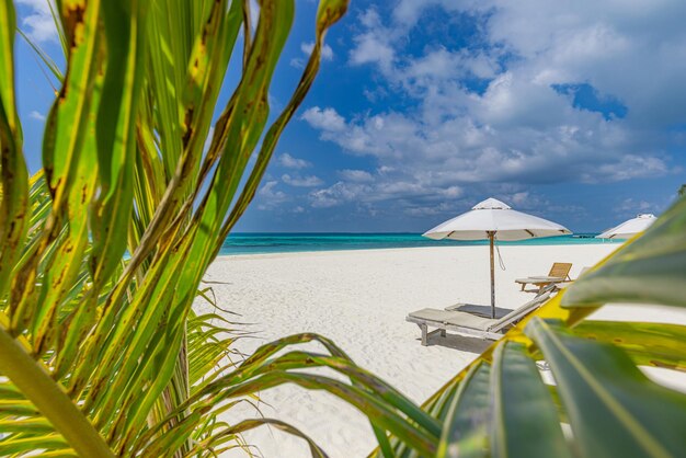 Pareja de verano destino playa escénica camas sillas paraguas palmeras. Amor romántico viaje paisaje