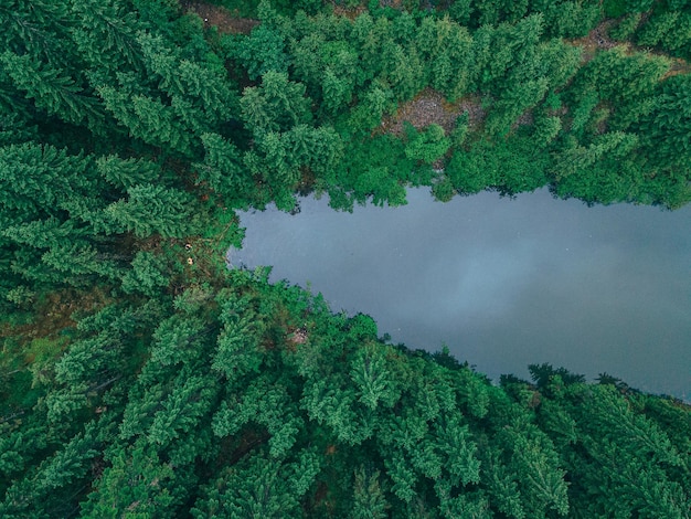 Pareja de viajeros excursionistas llegan al lago de montaña en el espacio de copia del bosque