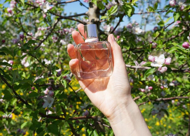 Parfüm in der Hand einer jungen Frau auf grünem Hintergrund Blühender Apfelgarten im Frühjahr