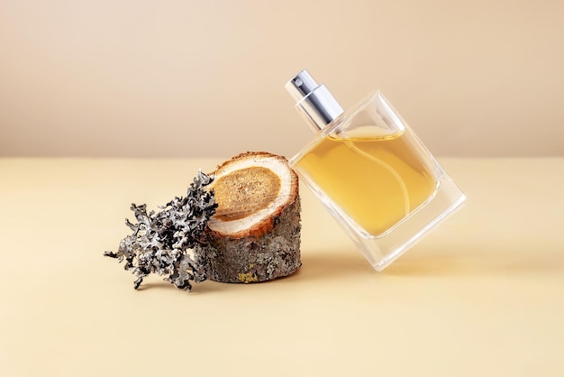 Parfüm in einer Sprühflasche und ein Baum mit Flechten auf beigem Hintergrund