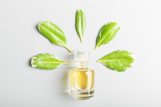 Parfüm und grüne Blätter auf einem grauen Hintergrund.