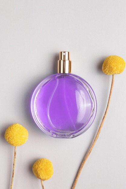 Parfümflasche und Craspedia-Blumen Konzept von teurem Parfüm und Kosmetik Blumenduft für Frauen Parfümspray Modernes Luxus-Lady-Parfum de Toilette
