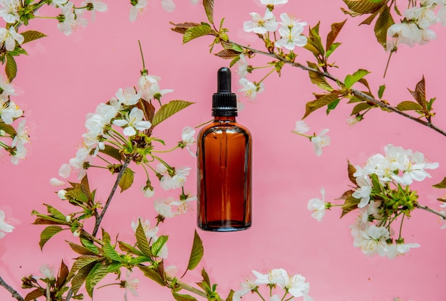 Parfümflasche und Kirschzweigblumen auf rosa Oberfläche herum