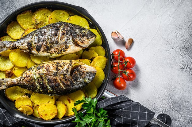 Foto pargo grelhado peixe com batatas em uma panela. fundo cinza. vista do topo. copie o espaço