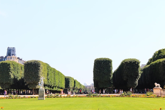 Paris Frankreich 26. August 2019 Blick auf den berühmten Jardin du Luxembourg oder den Jardin du Luxembourg in Paris im Sommer