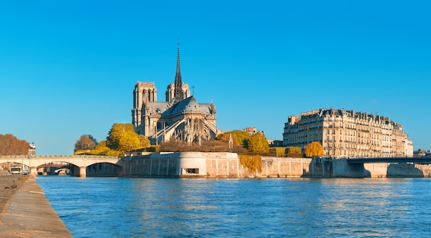 Paris, vista sobre o rio sena com a catedral de notre-dame em queda