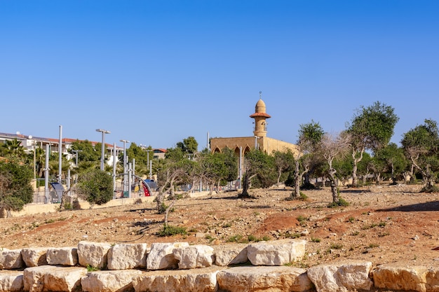 Foto park am meer in tel aviv jaffo