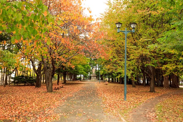 Foto park auf japanisch