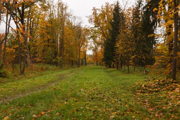 Park im Frühherbst mit bunten Blättern