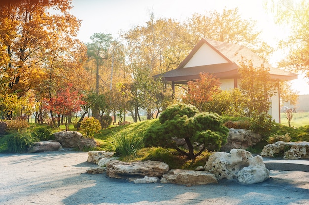 Park im japanischen Stil mit rotgelben Ahornbäumen