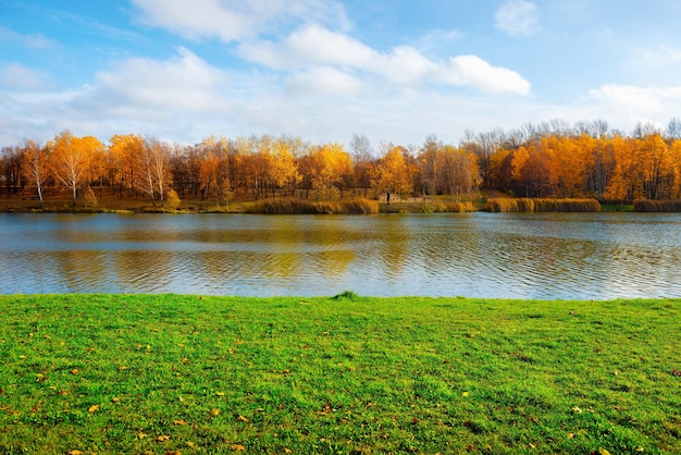 Park in Kattowitz