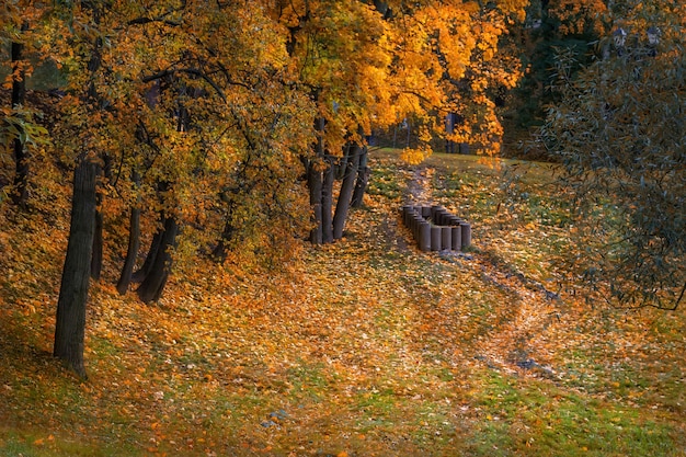 Park in Tsaritsyno in Moskau an einem Herbsttag