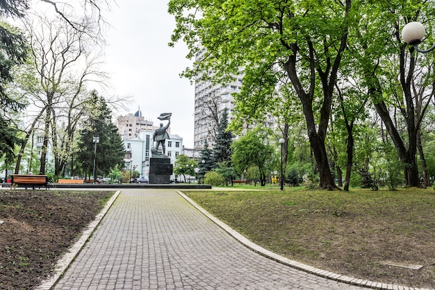 Park in Ukraine Caminho da floresta verde