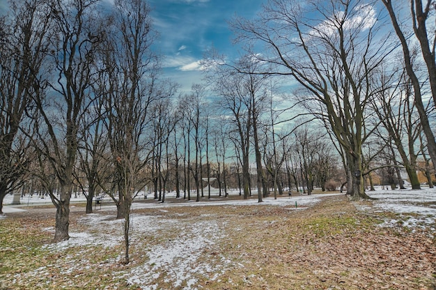 Park in Warschau in Polen