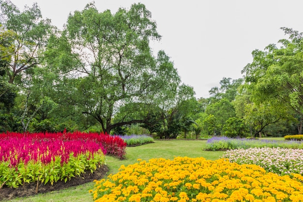 Park mit Bäumen und Gras