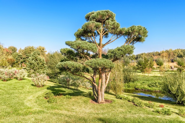 Park mit Gärten in der modernen Stadt