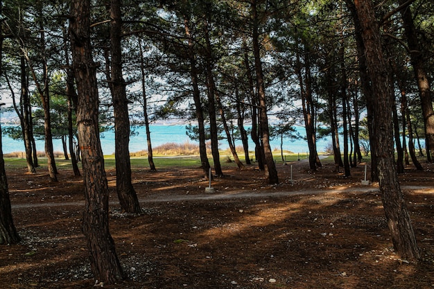 Park mit Meerblick, Outdoor-Aktivitäten