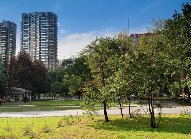 Park und Gebäude im Hintergrund generative KI