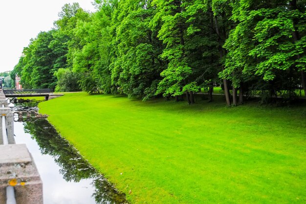 Park von Zarskoje Selo in St. Petersburg