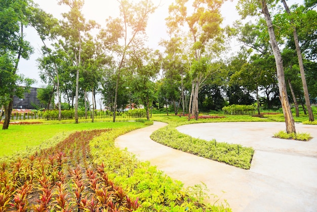 Parkbaum am Morgen mit Fußweg mit Grünpflanzen- und Blumenholzbaum, schöne Stadtparkgartennaturumgebung