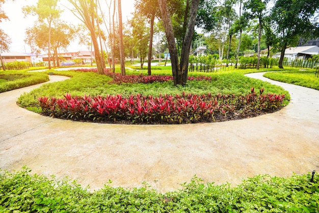 Parkbaum am Morgen mit Fußweg mit Grünpflanzen- und Blumenholzbaum, schöne Stadtparkgartennaturumgebung