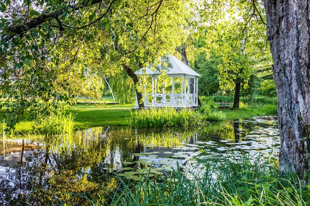 Parken Sie an einem ruhigen Ort, um sich mit einem Teich im Stadtpark auszuruhen