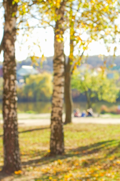 Parken Sie im Herbst mit schönem Herbstlaub