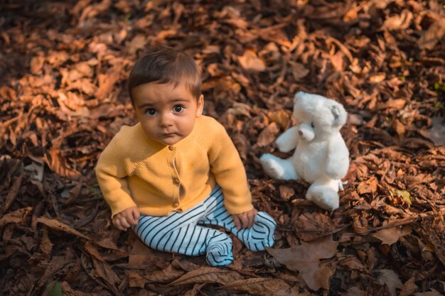 Parken Sie in einem Herbstsonnenuntergang, ein sechs Monate altes Baby sitzt in den Blättern der Bäume mit einem weißen Teddybären