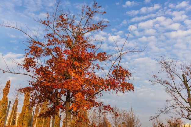 Parken während der Herbstsaison