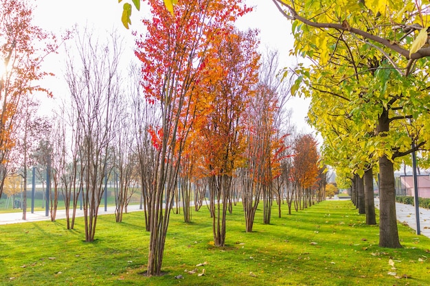 Parken während der Herbstsaison