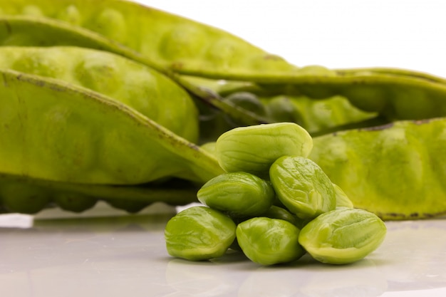 Parkia speciosa tailandés vegetal aislado sobre fondo blanco