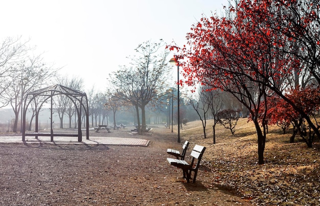 Parkszene in der Herbstsaison