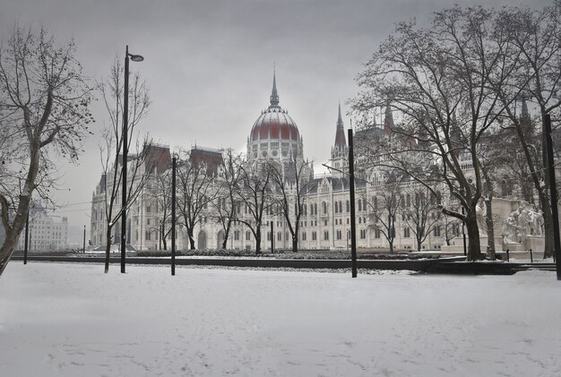 Parlamento húngaro en invierno