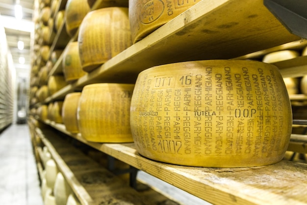 Parmigiano-Käsefabrik mit dem alternden Käse