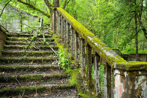 Parque abandonado cerca del lago Riza. Abjasia.