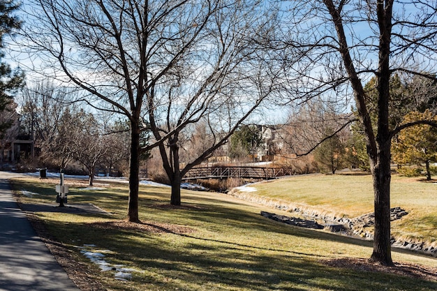 Parque americano suburbano típico a finales de enero.