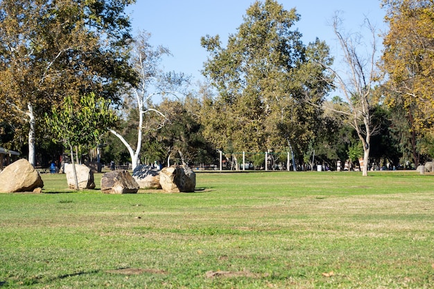 Parque ao ar livre árvores grama verde