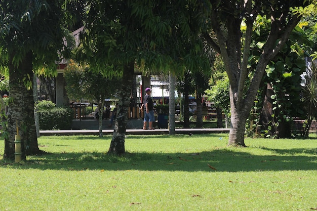 Un parque con un árbol en el medio y un edificio al fondo