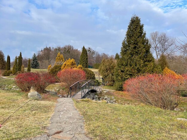 parque con árboles amarillentos en otoño