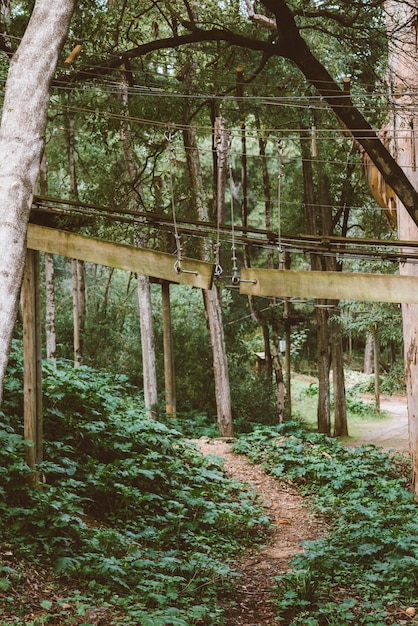 Parque de árboles de aventura con cuerdas altas