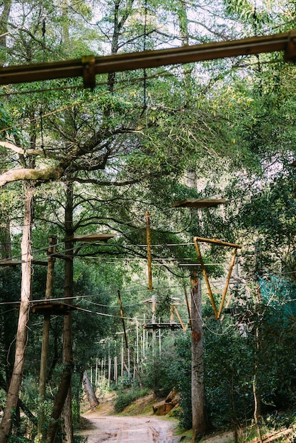 Parque de árboles de aventura con cuerdas altas