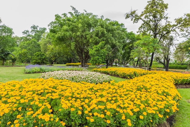 Parque con arboles y cesped