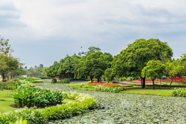 Parque con arboles y cespedes.