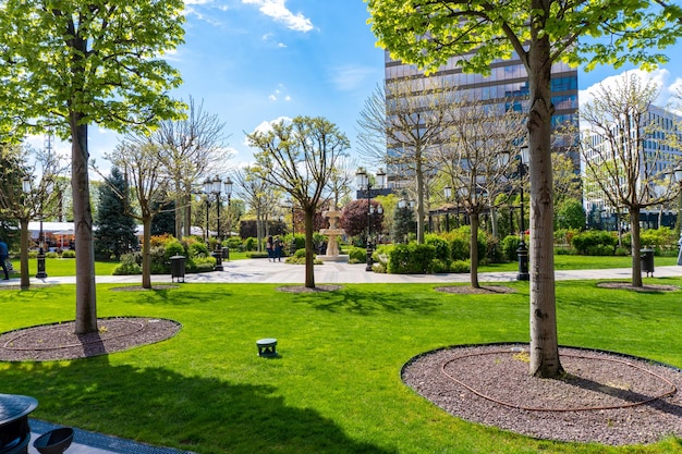 Un parque con árboles y un edificio al fondo.