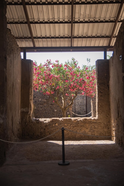 Parque Arqueológico de Pompéia Uma cidade antiga que morreu tragicamente sob lava Velhas casas em ruínas villas Pátios italianos internos