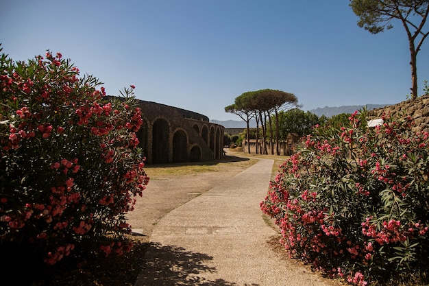 Parque Arqueológico de Pompeya una gran área de excavación en las cercanías del Vesubio en el sur de Italia Una antigua ciudad que pereció trágicamente bajo la lava