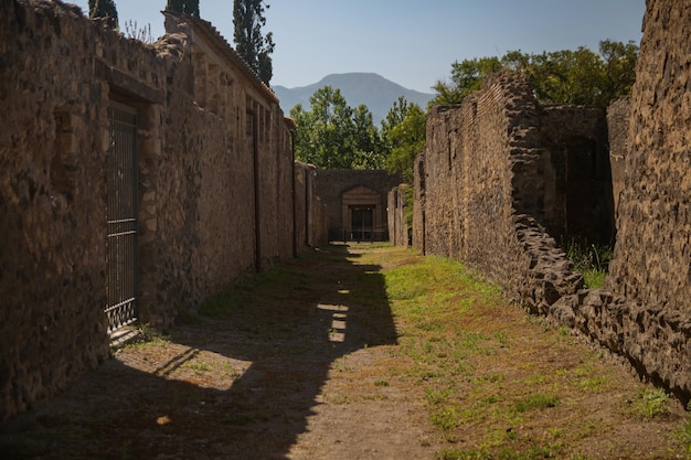 Parque Arqueológico de Pompeya una gran área de excavación en las cercanías del Vesubio en el sur de Italia Una antigua ciudad que pereció trágicamente bajo la lava