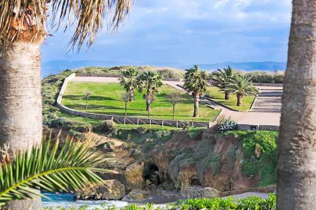 Parque de Balai visto a través de dos palmeras