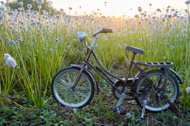 Parque de bicicletas en la hermosa hierba de flores con hermosa luz.