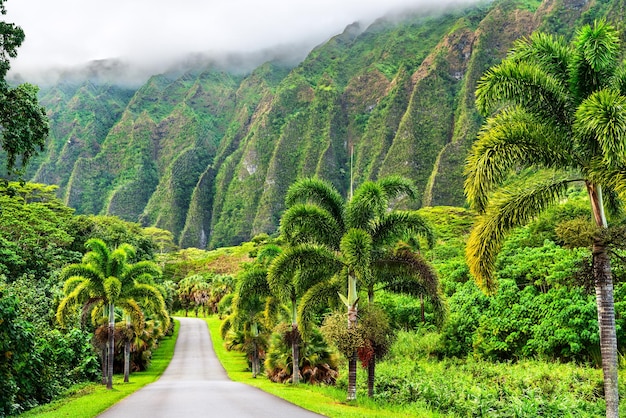 Parque botánico Hoomaluhia vistas de las montañas Koolau en Oahu Hawai Estados Unidos